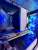 Системный блок Formoza Intel Core I5-14400F 2.5-4.7GHz/DDR5 32Gb/SSD M.2 2Tb/RTX 5060 8Gb/700W Системный блок Formoza Intel Core I5-14400F 2.5-4.7GHz/DDR5 32Gb/SSD M.2 2Tb/RTX 5060 8Gb/700W